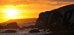 Sunset on the Coast - Survival and Beauty